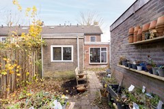 Tuin 4.jpg